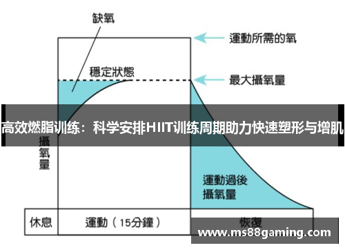 高效燃脂训练：科学安排HIIT训练周期助力快速塑形与增肌